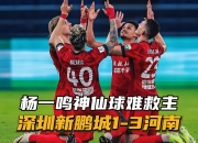 乐鱼真人体育娱乐-关于曾随队夺得中甲冠军！深圳新鹏城官方：周大地正式离队的信息
