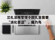 乐鱼体育全站-兰扎法梅觉得小因扎吉需要“消化苦涩”，魔力鸟