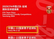 乐鱼体育入口-顶级对决，国内足球联赛球队力争上游的简单介绍