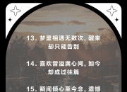 乐鱼体育平台-北亚冠军未果，遗憾告别比赛赛场的简单介绍